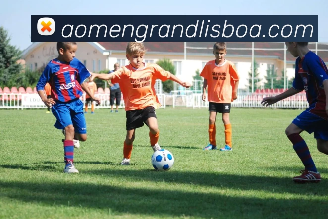 新葡京娱乐服务体系